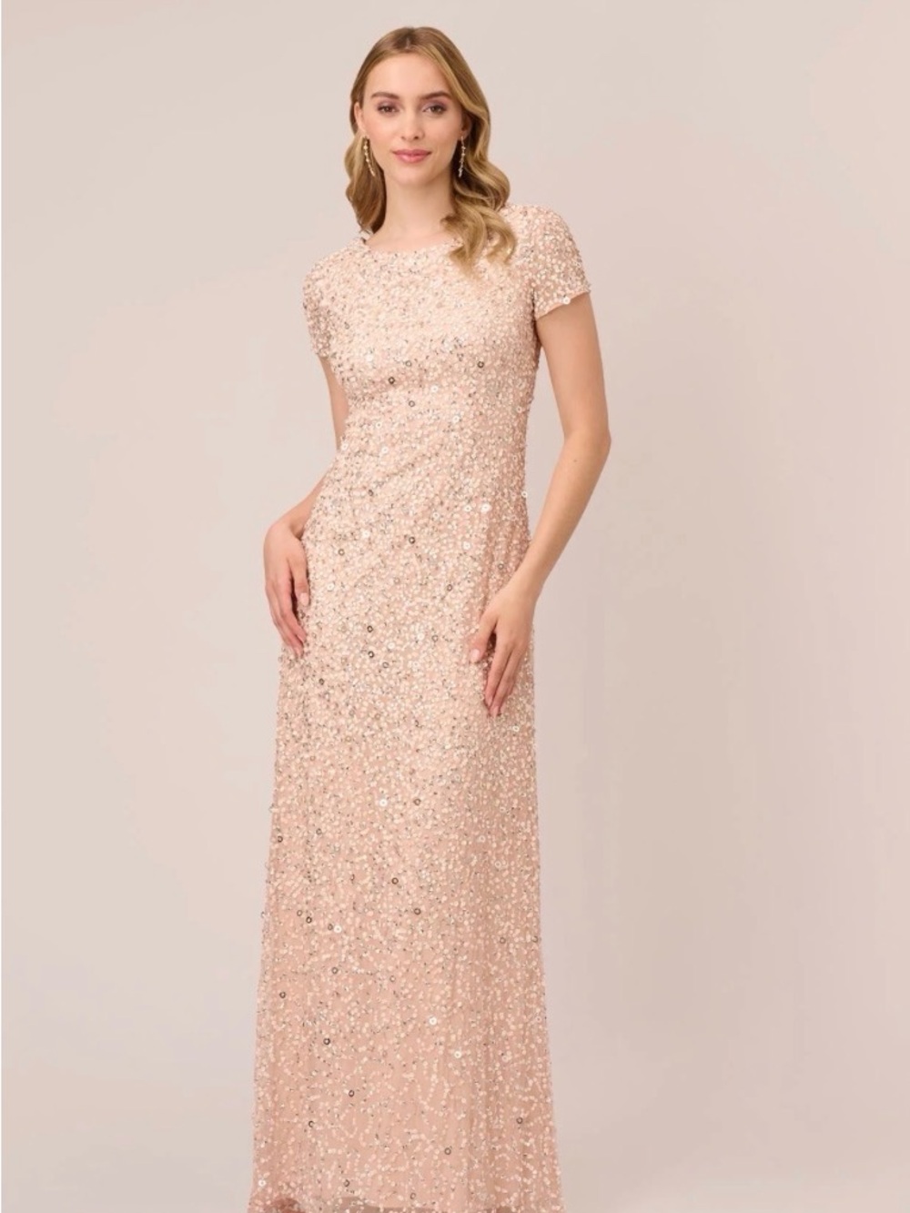 Adrianna Papell Blush Sequin Cap Sleeve Maxi Dress